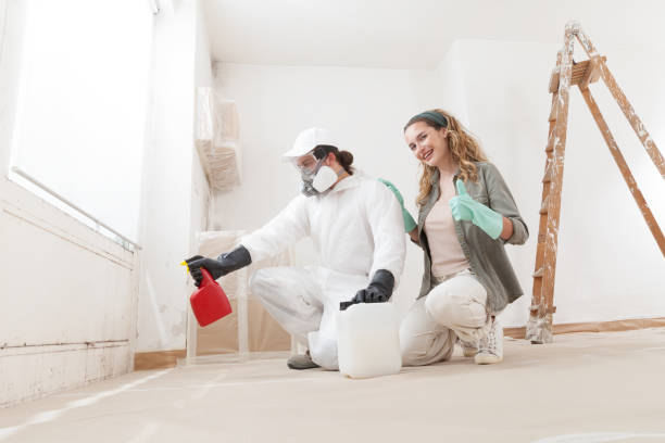 Best Basement Mold Removal  in Shamokin Dam, PA